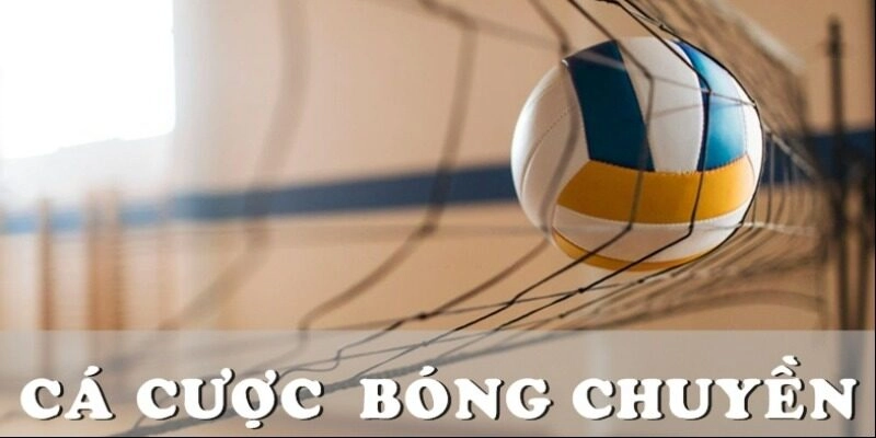 Cá cược bóng chuyền: Hướng Dẫn và Tổng Quan Đầy Đủ 1 Cá cược bóng chuyền là gì?